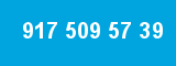 917 509 57 39